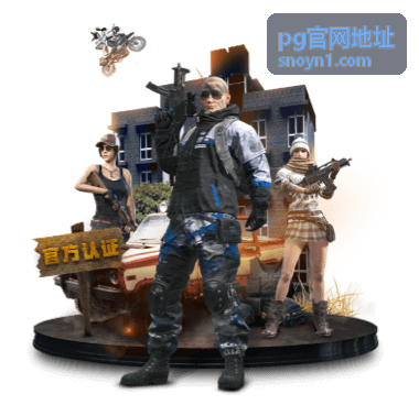pg官网地址登录注册指引——常见登录方式对比示意